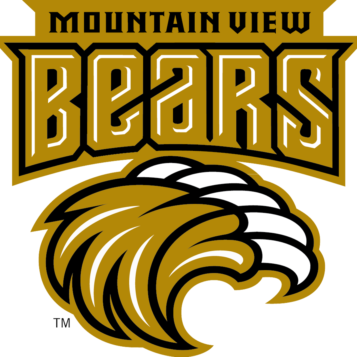 Contribute Content to Mountain View High School