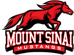 Sponsor Mount Sinai High School and Feature Your Business